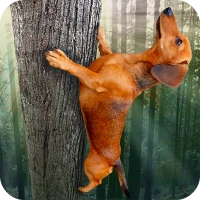 Wild Wiener!