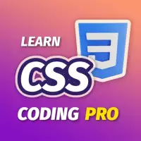 Learn CSS Programming (PRO)