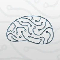 Brainquire