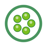 Aualé — Oware, Awari, Mancala