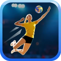 Fine Volleyball