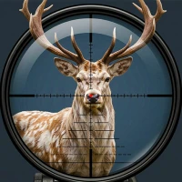 Wild Animal Hunter 3D