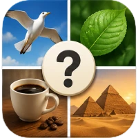 Guess the Word: 4 Pics 1 Word